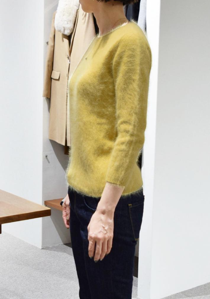 roberto collina ロベルト コリーナ ニット着用写真