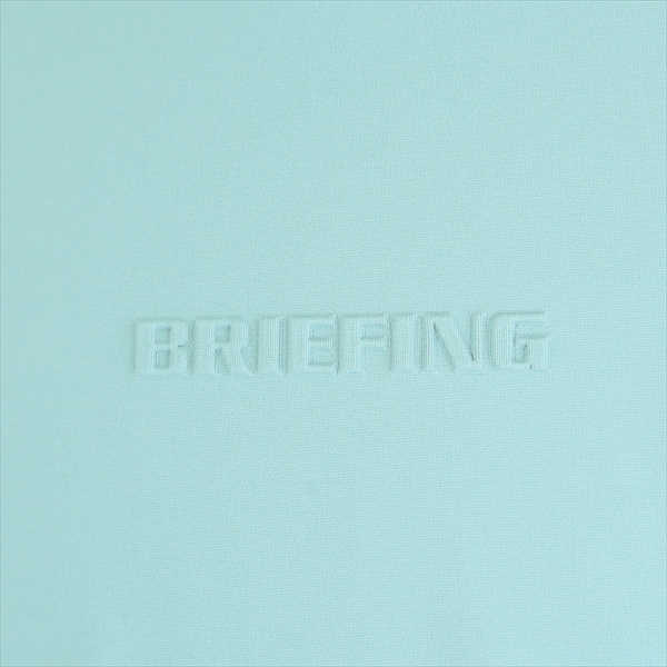  BRIEFING