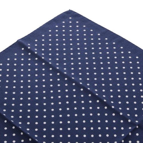 VINCENZO MIOZZA ヴィンセンツォ・ミオッツァ カシミヤシルク スカーフ